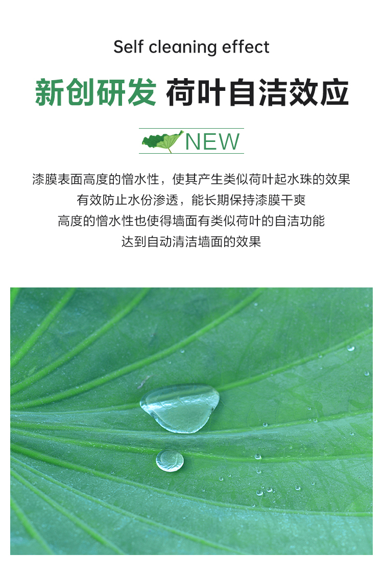 新创研发荷叶自洁效应，防水份渗透自动清洁墙面效果